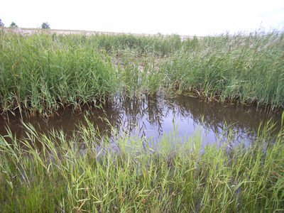 RIMG0094.JPG