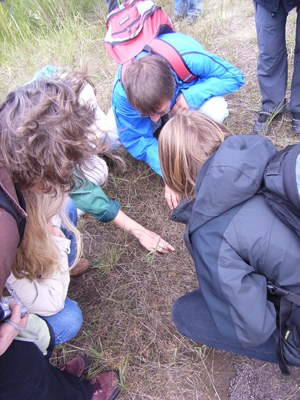 RIMG0095.JPG