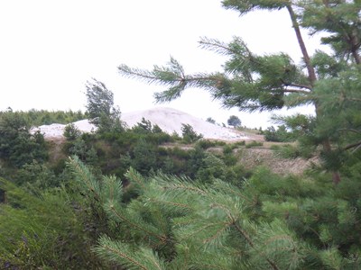 RIMG0123.JPG