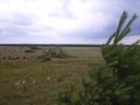 RIMG0125.JPG