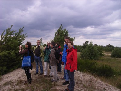 RIMG0147.JPG