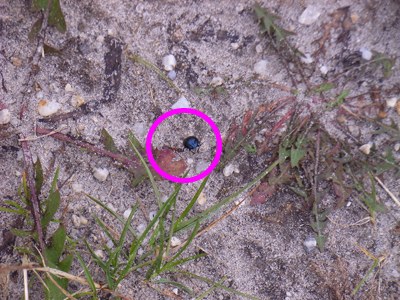 RIMG0148.JPG