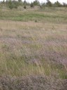 RIMG0151.JPG