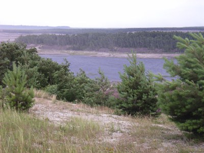 RIMG0152.JPG