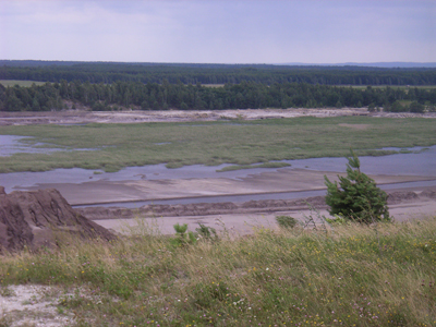 RIMG0153.JPG