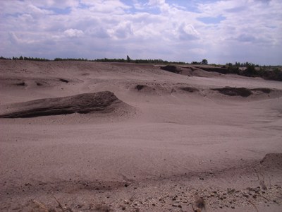 RIMG0160.JPG
