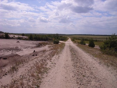 RIMG0161.JPG