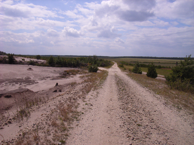 RIMG0161.JPG