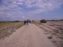 RIMG0162.JPG