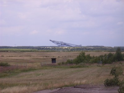 RIMG0165.JPG