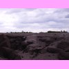 th_RIMG0088.JPG