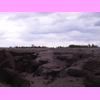 th_RIMG0088.JPG