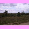 th_RIMG0091.JPG