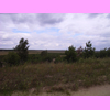 th_RIMG0091.JPG