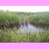 th_RIMG0094.JPG