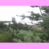 th_RIMG0123.JPG