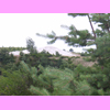 th_RIMG0123.JPG