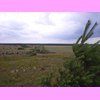 th_RIMG0125.JPG