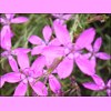 th_RIMG0150.jpg