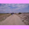 th_RIMG0162.JPG