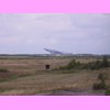 th_RIMG0165.JPG