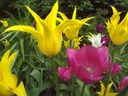PIC01752.jpg
