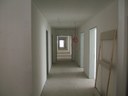 DSCF0834.JPG