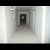 neu_1_1.gif