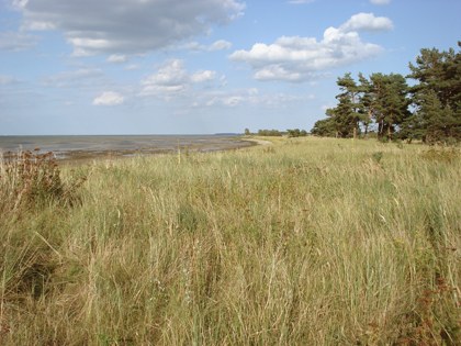 DSC04582.jpg