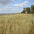 DSC04582s.jpg