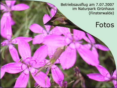 hintergrund.gif