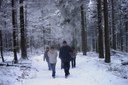 schnee_web.jpg