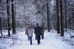 schnee_web_kl.jpg