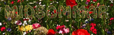 20170630 midsommer 20170630 midsommer