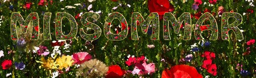 20170630 midsommer 20170630 midsommer