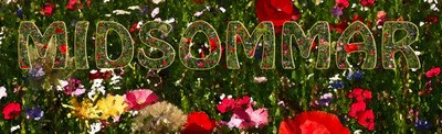 20170630 midsommer
