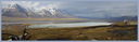 svalbard.png